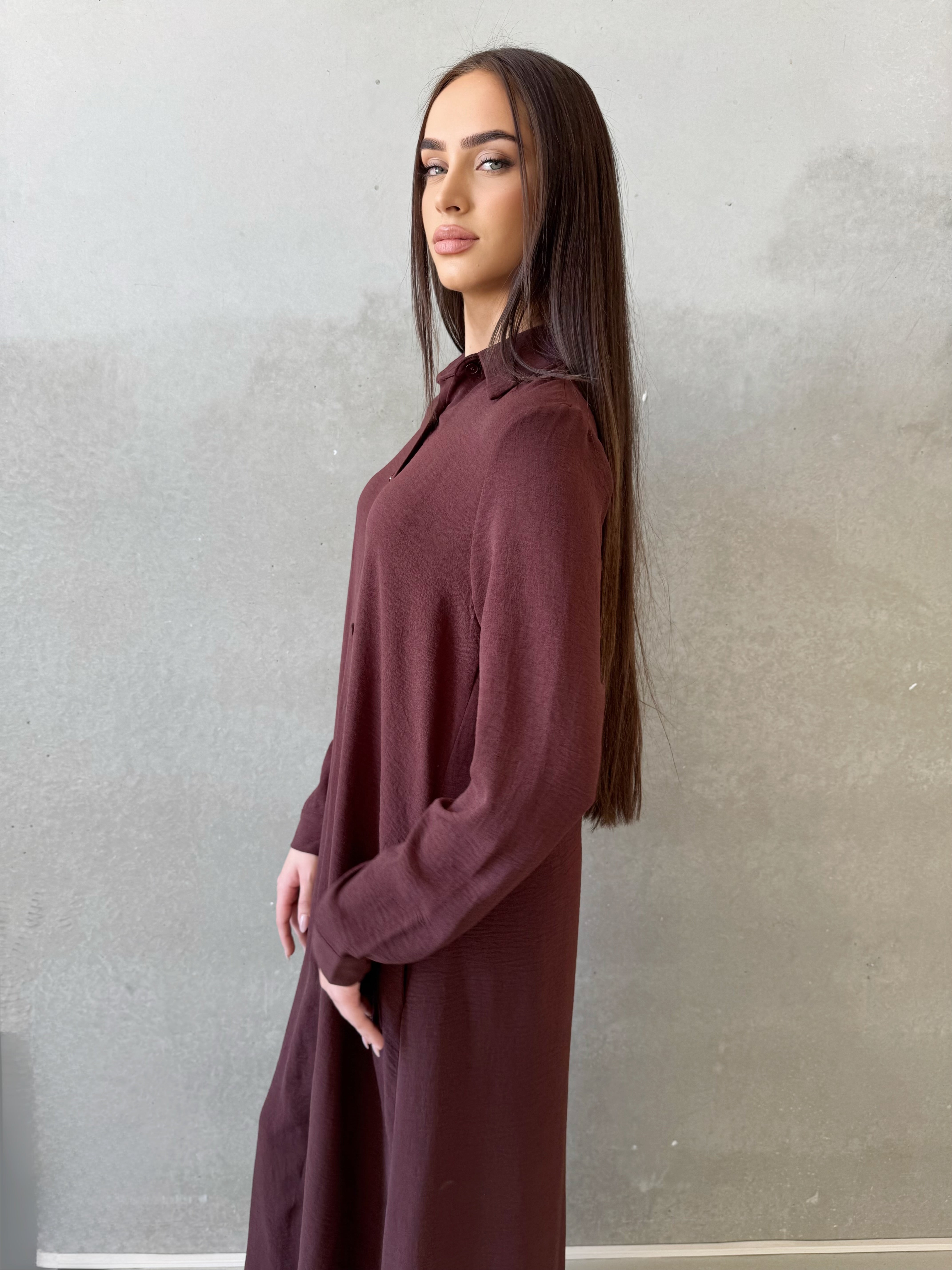 Iris shirt Dress