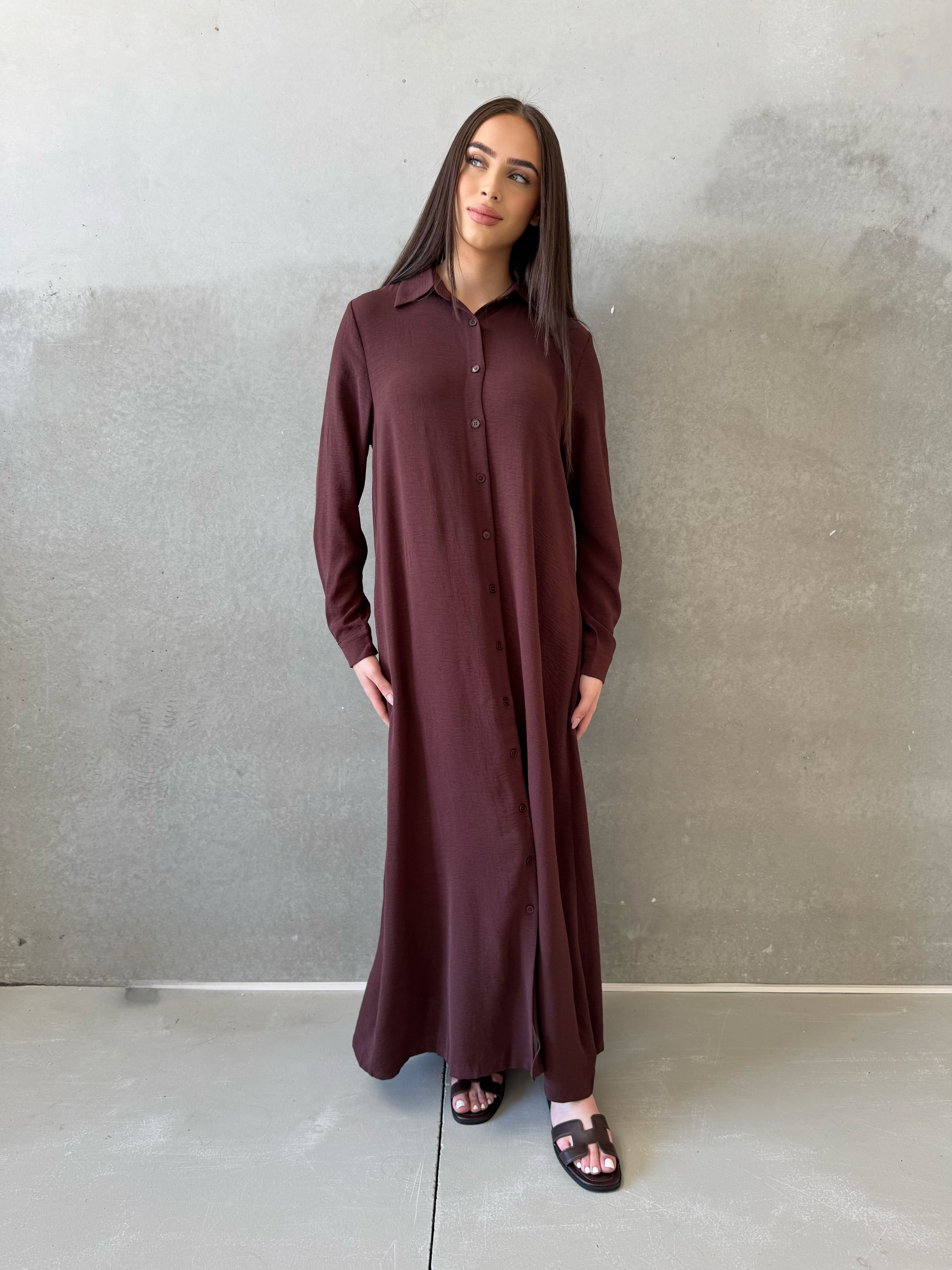 Iris shirt Dress