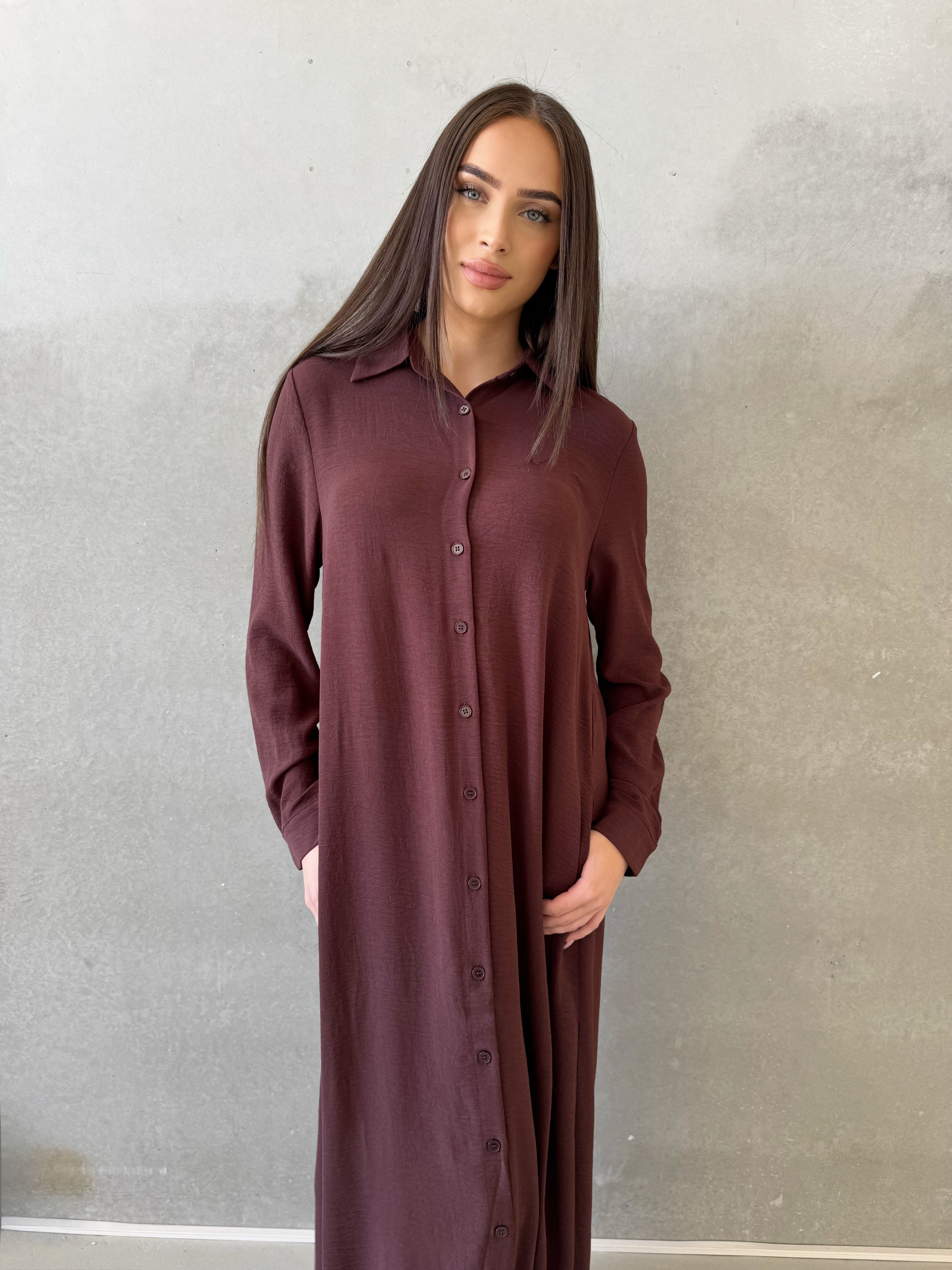 Iris shirt Dress