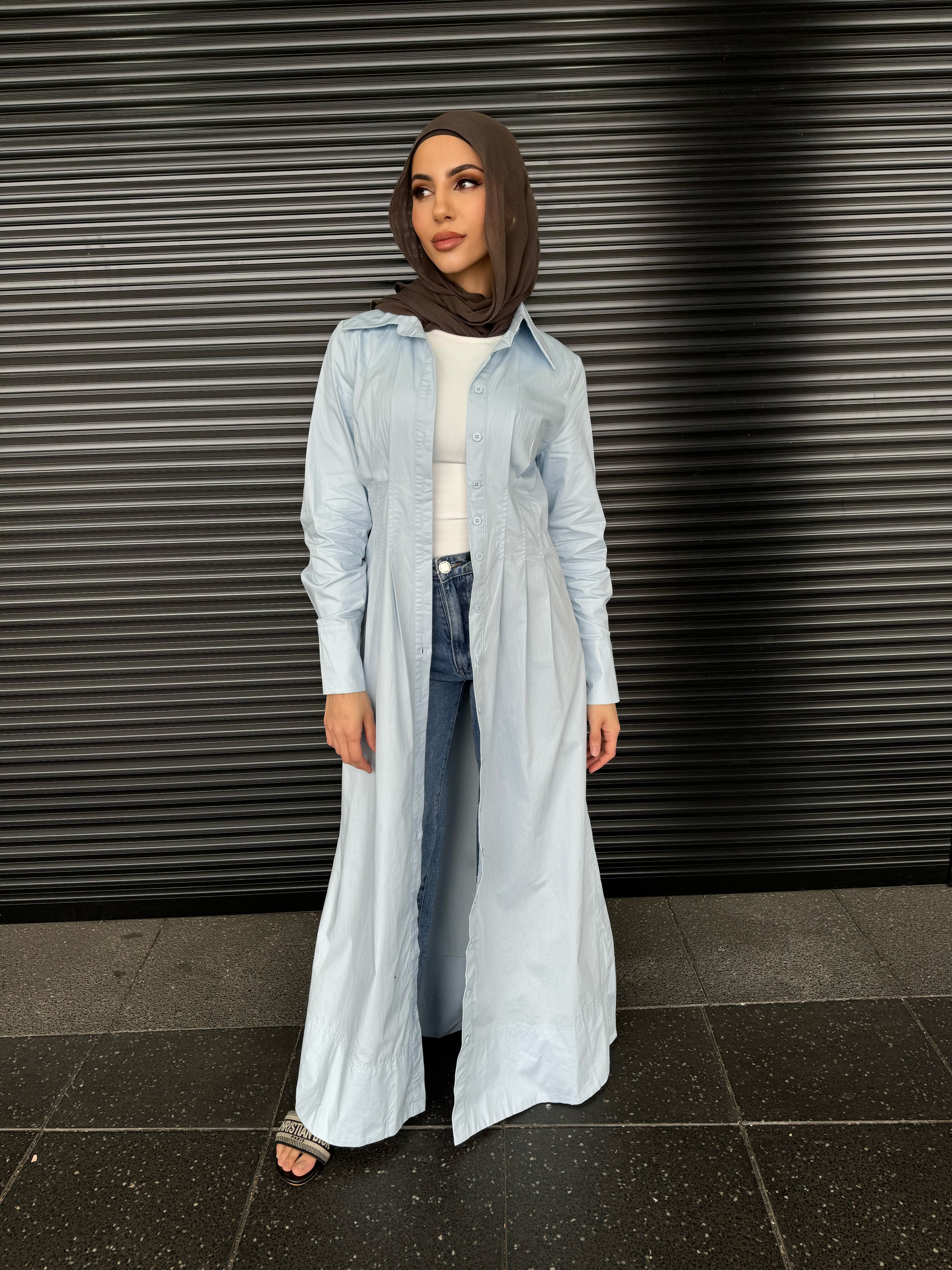 Janna shirt dress